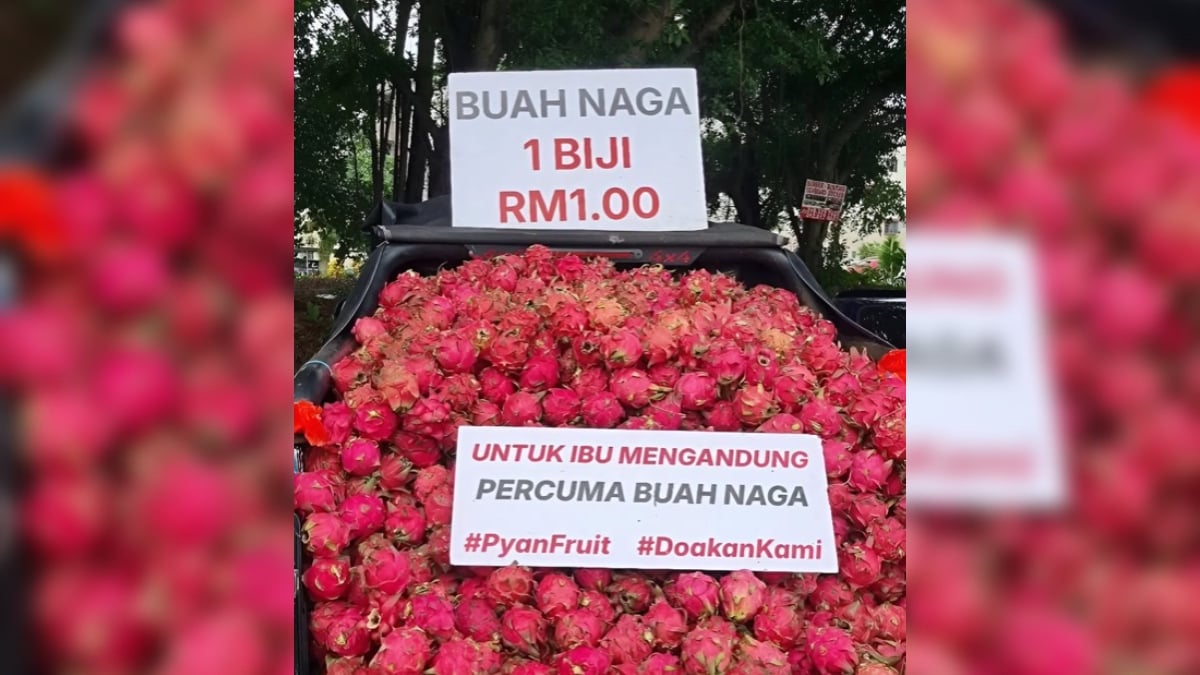 buah naga