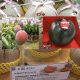 BUAH PALING MAHAL