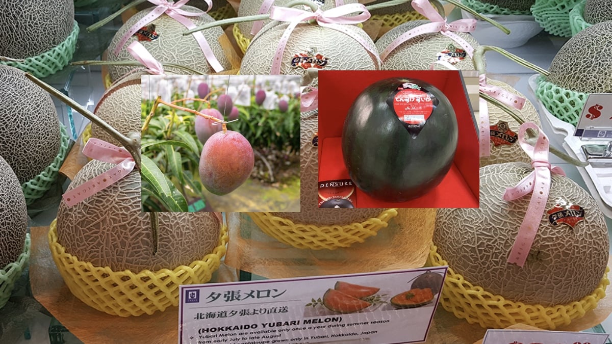 BUAH PALING MAHAL