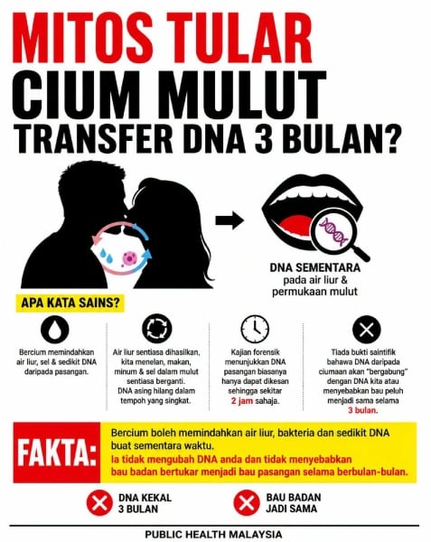 cium mulut