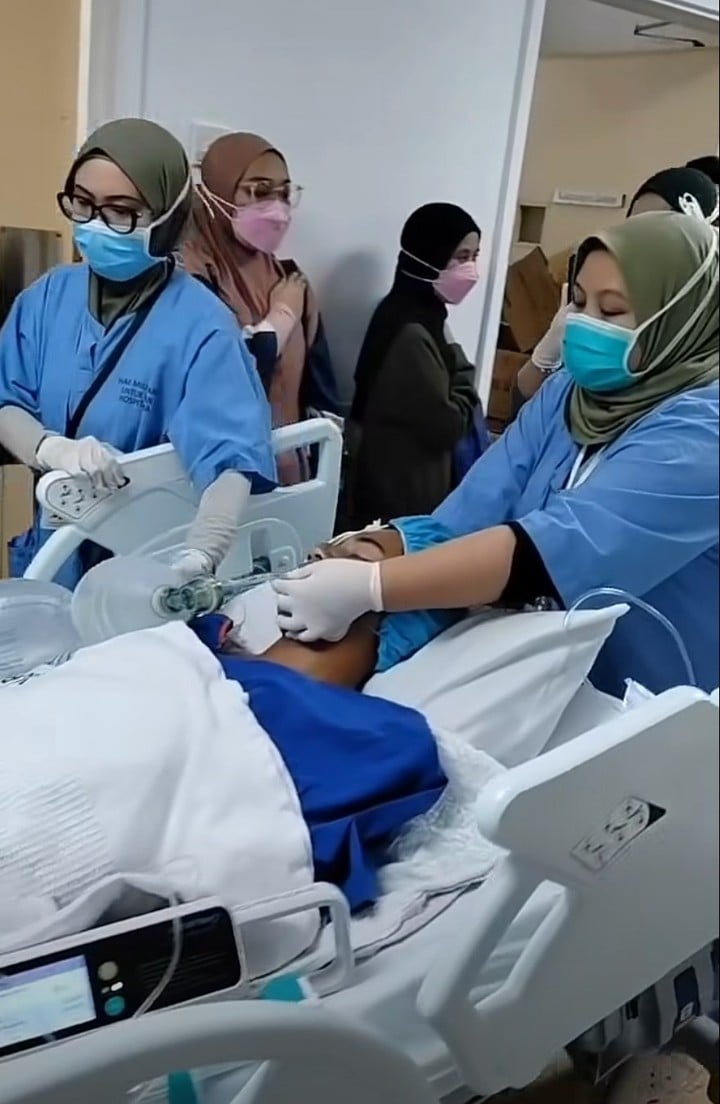 derma organ 