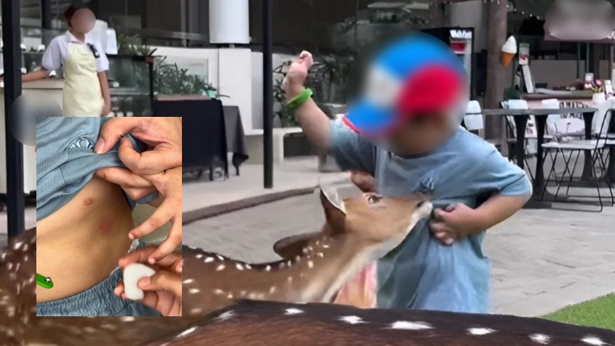 digigit rusa