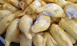 DURIAN MUSANG KING