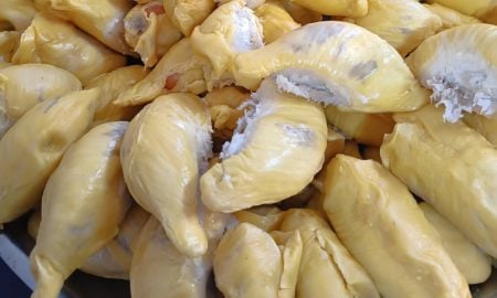 DURIAN MUSANG KING