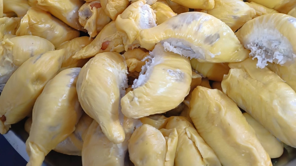DURIAN MUSANG KING