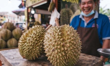 harga durian