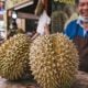 harga durian