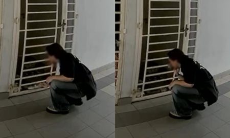 hidu kasut