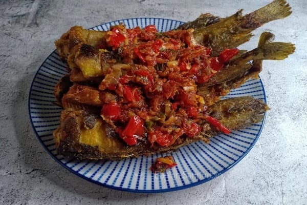 ikan keli