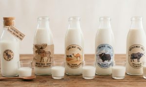 jenis susu