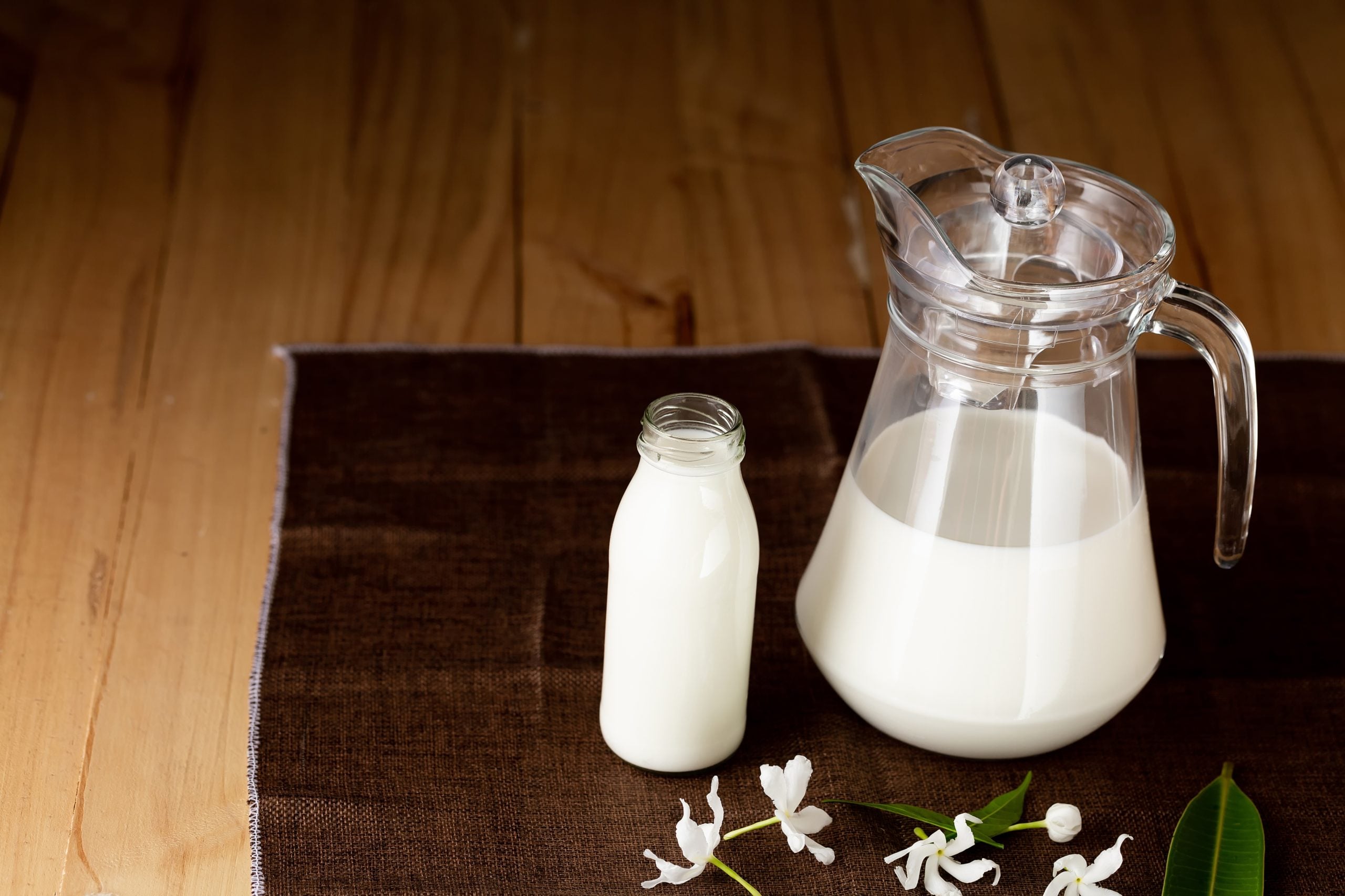 khasiat susu kambing