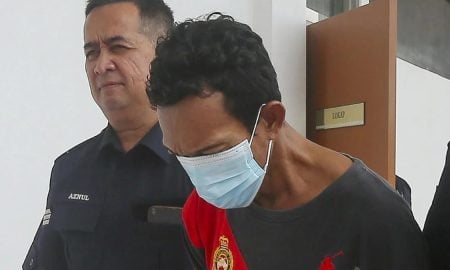 mencuri milo