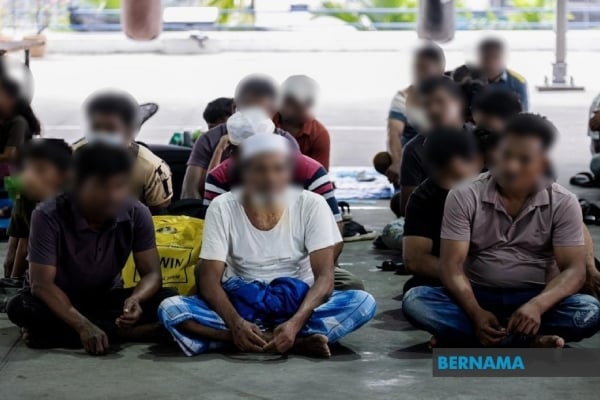 pelarian rohingya