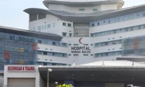 sektor awam