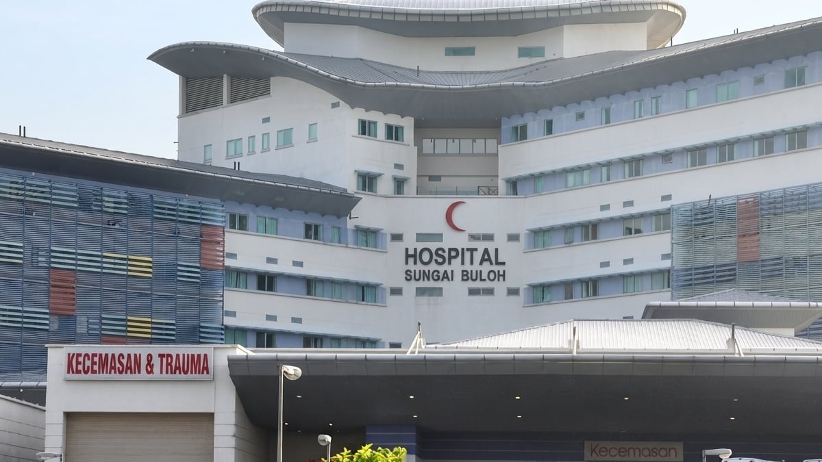 sektor awam
