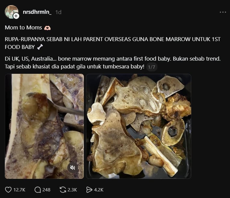 sumsum tulang