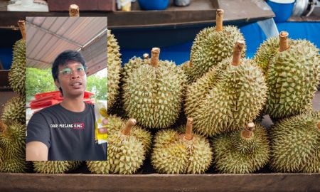 tanam durian