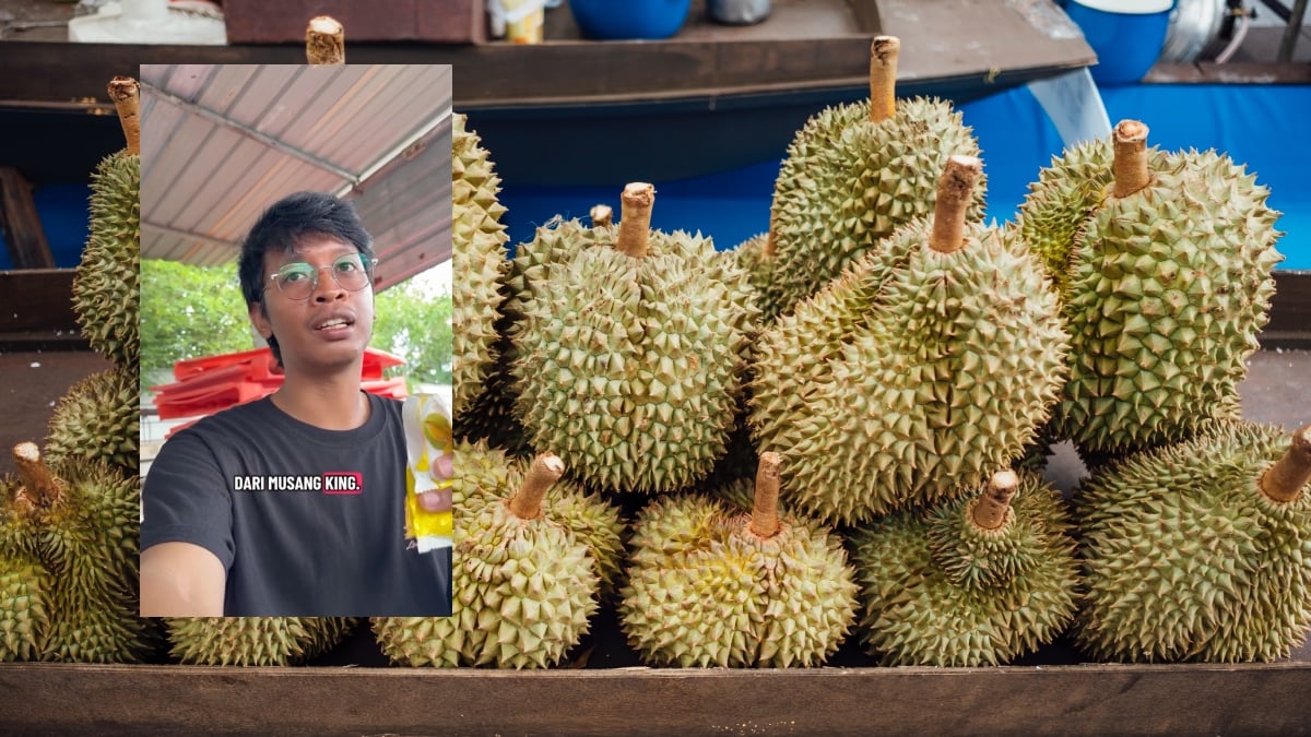 tanam durian