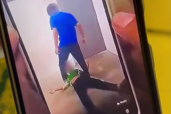 video buli