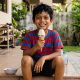 Aiskrim Vanila