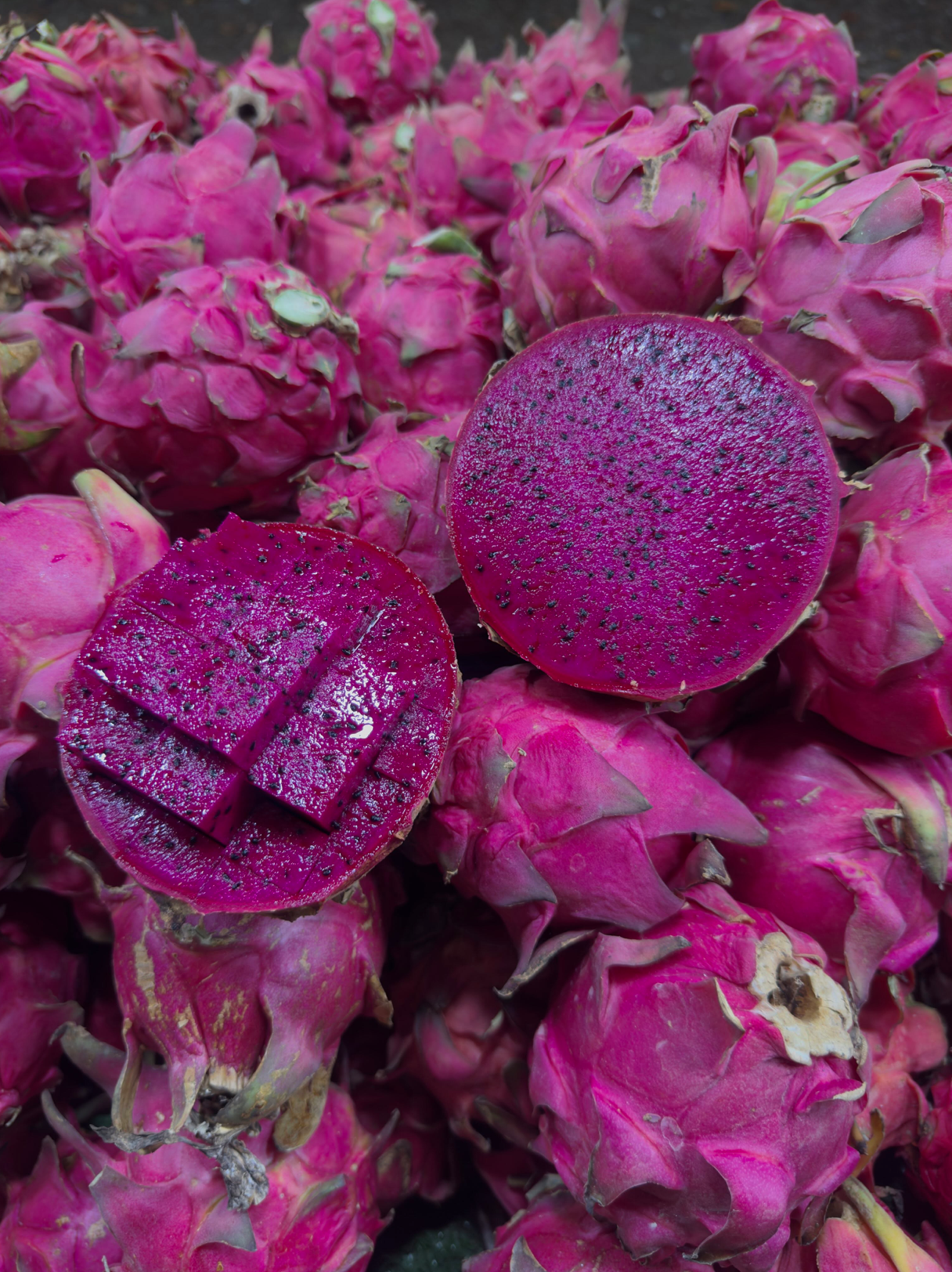 BUAH NAGA