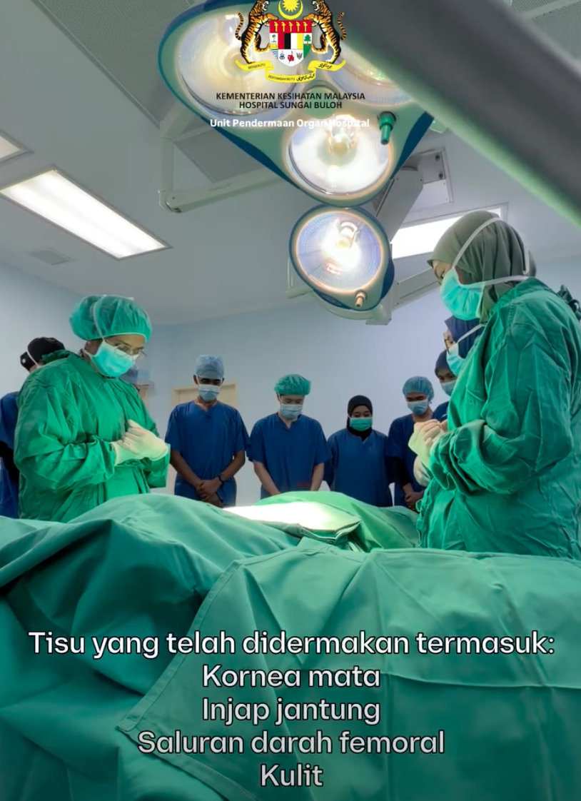 TISU BADAN