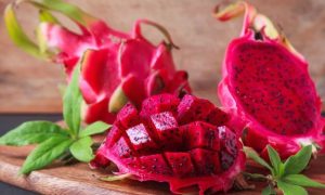 buah naga