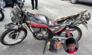 ibu hamil