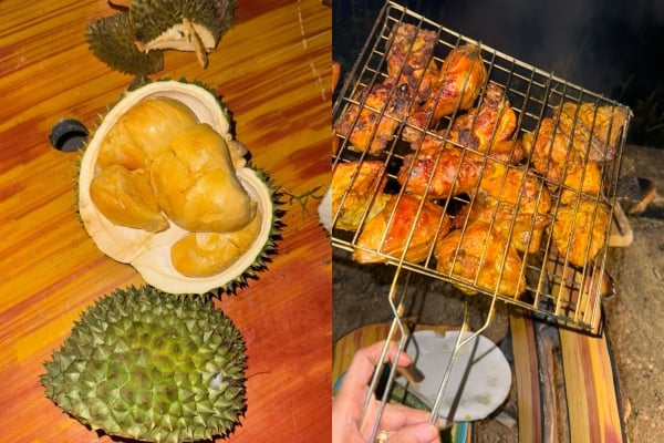 kebun durian