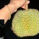 kebun durian