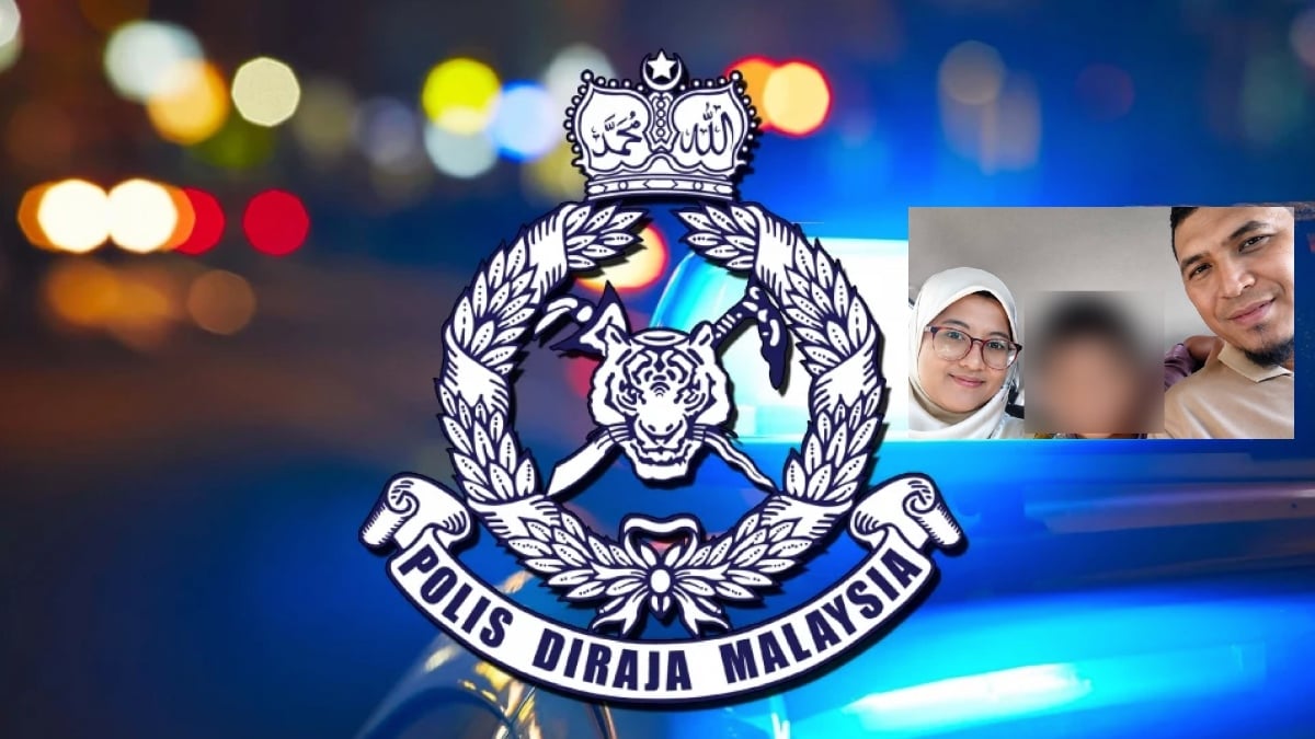 main kutu
