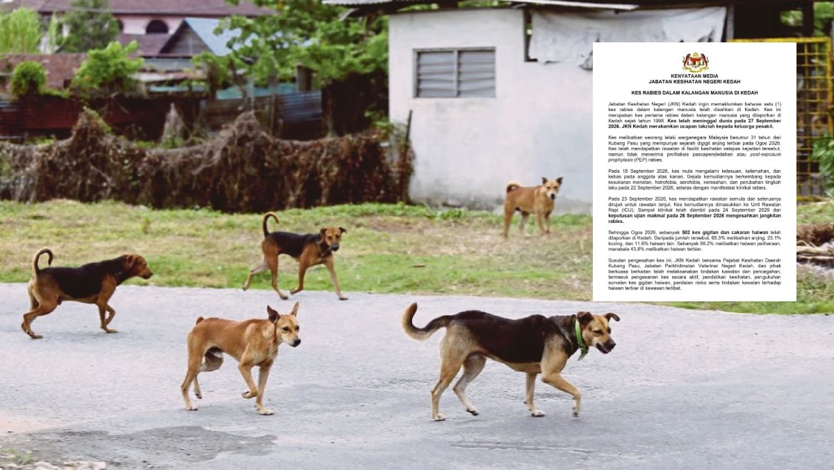 DIJANGKITI RABIES