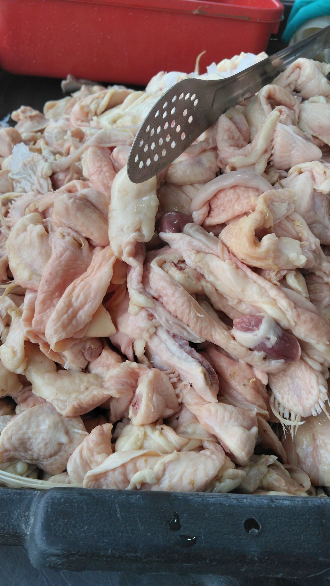 KULIT AYAM