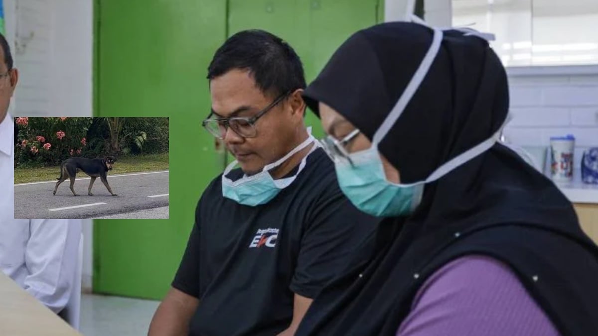 DISERANG LIMA ANJING