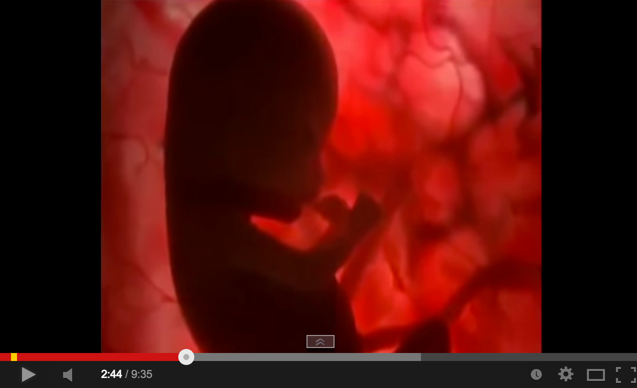 Video Janin Dalam Rahim Ibu, Bayi Dalam Kandungan. Subhanallah!