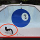Kucing Ini Takut Jatuh Kolam, Sebab Nampak Macam 'Swimming Pool', Tapi Bukan.