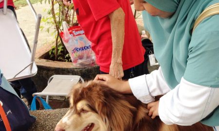 Program "I Want To Touch A Dog" Beri Peluang Orang Islam Pegang Anjing!