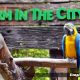 Farm In The City, Rasai Pengalaman Di Petting Zoo!