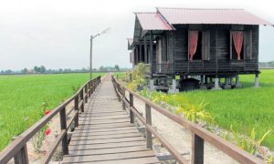 Homestay Malaysia