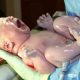 Pantang larang bayi baru lahir