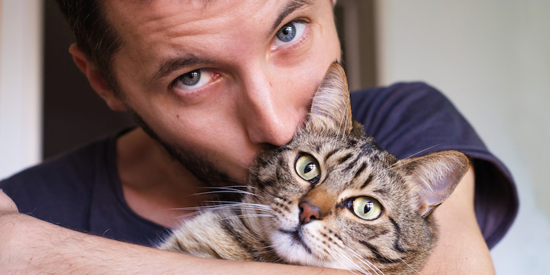 7 Sebab Lelaki Pencinta Kucing Layak Jadi Pasangan Hidup Anda