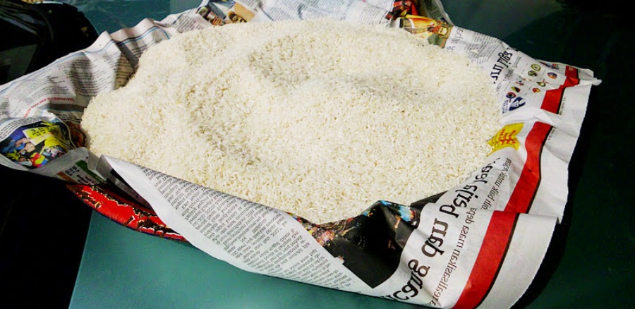 cara hilangkan kutu beras