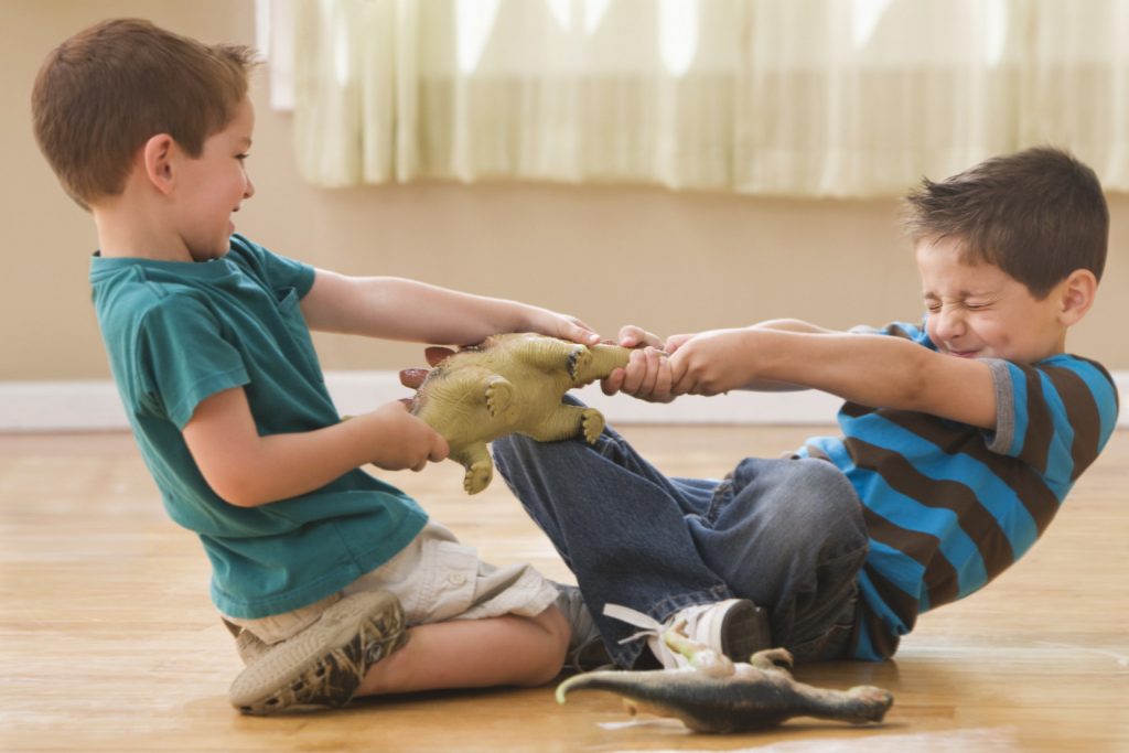 Caucasian boys fighting over dinosaurs