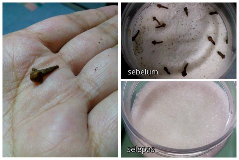 8 Petua Halau Semut Yang 'Berparti' Dalam Bekas Gula Anda