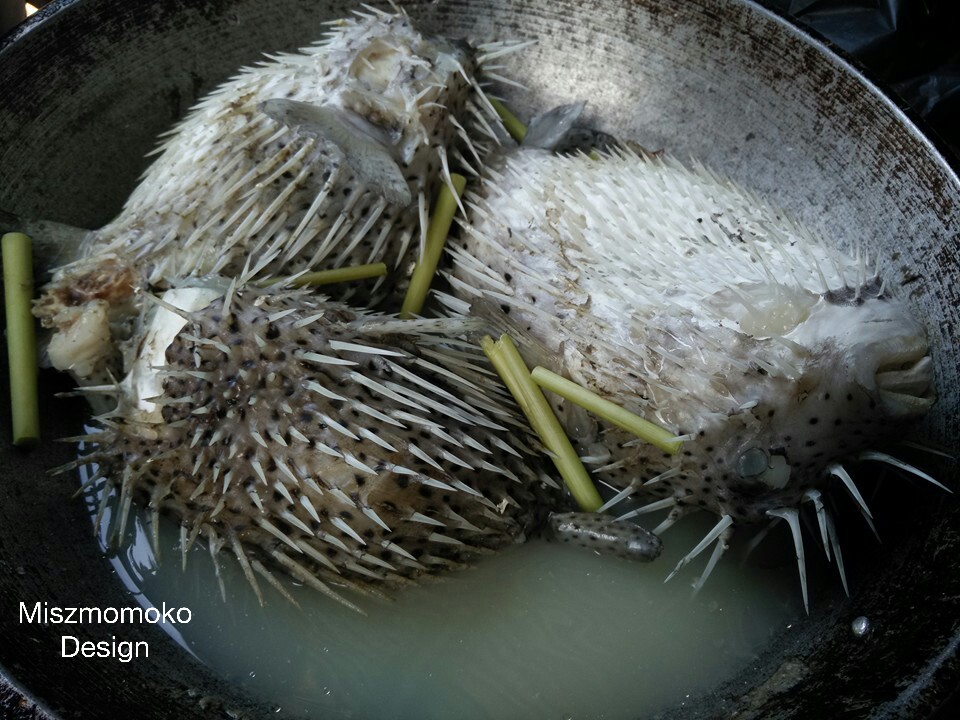 Wanita Ini Kongsi Cara Masak Ikan Buntal. Berani Makan Tak?