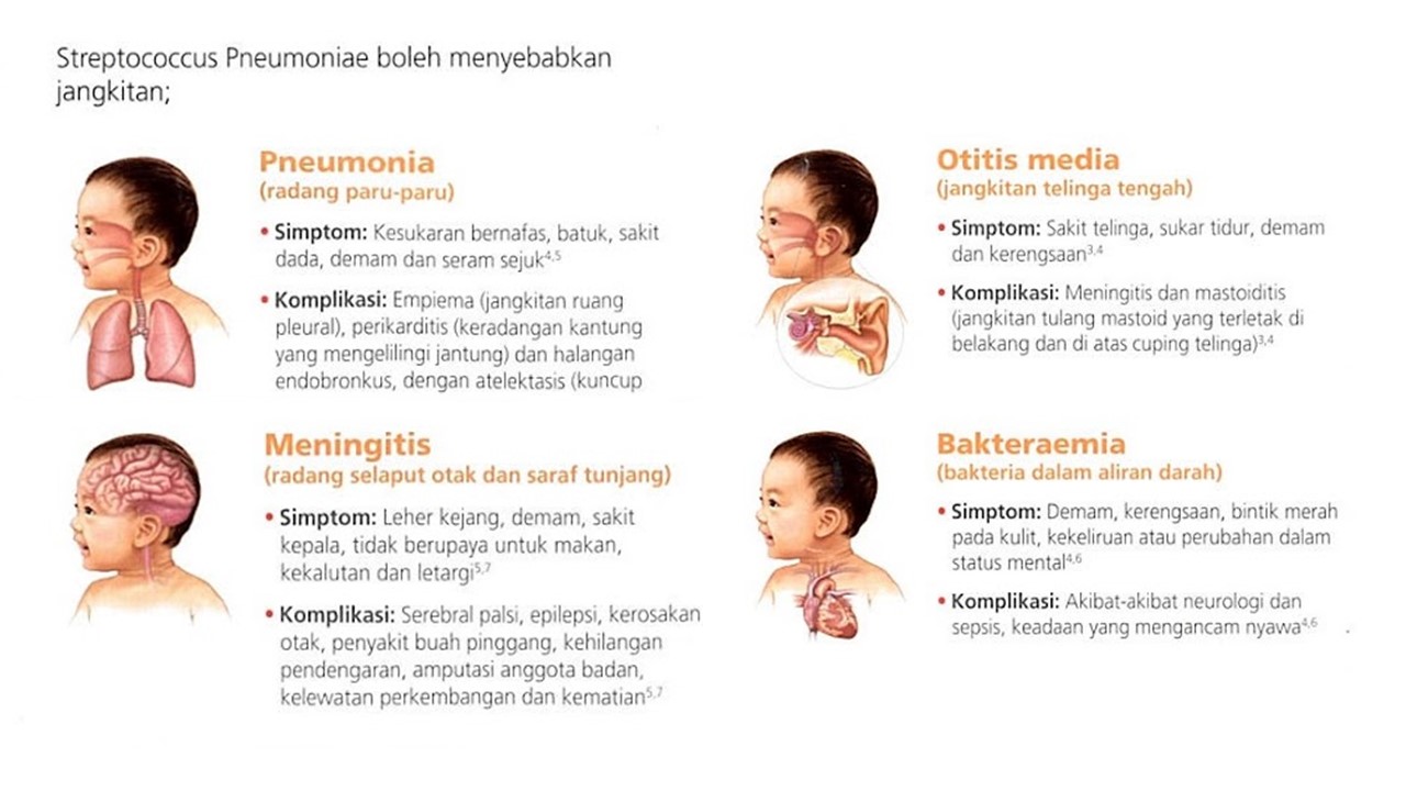 5 Perkara Papa Mama Patut Tahu Tentang Vaksin Pneumokokal Di Malaysia