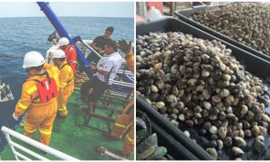 Comelnya, Ini 30 Idea Bekal Makanan Anak Ke Sekolah Untuk 